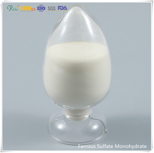 Eisensulfat-Monohydrat-Pulver für Futtermittelqualität/Industriequalität